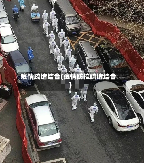 疫情疏堵结合(疫情防控疏堵结合)-第2张图片