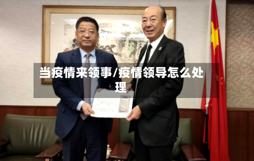 当疫情来领事/疫情领导怎么处理-第2张图片