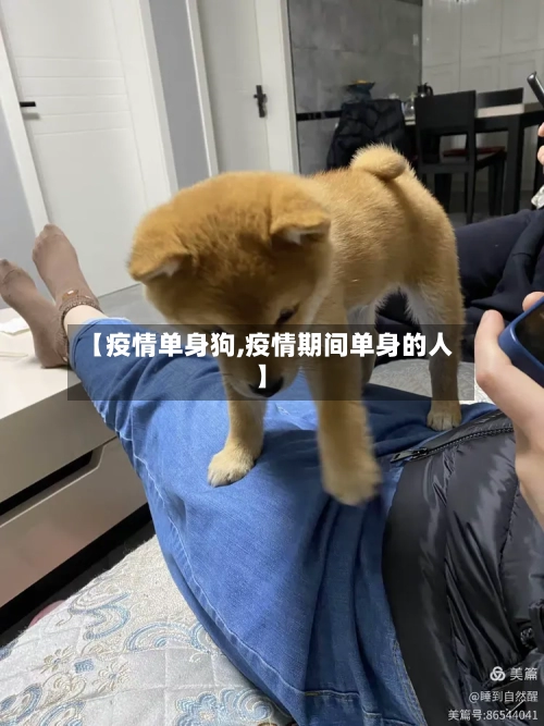 【疫情单身狗,疫情期间单身的人】-第2张图片