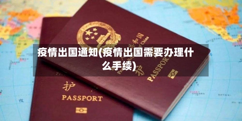 疫情出国通知(疫情出国需要办理什么手续)-第3张图片