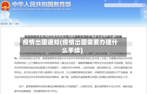疫情出国通知(疫情出国需要办理什么手续)