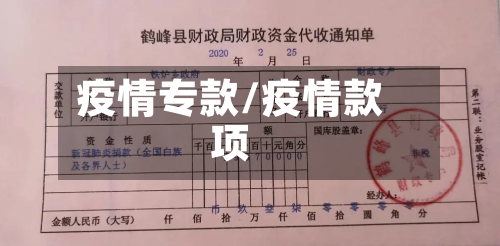 疫情专款/疫情款项