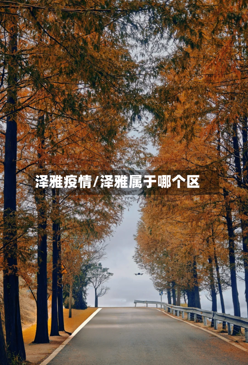 泽雅疫情/泽雅属于哪个区-第2张图片